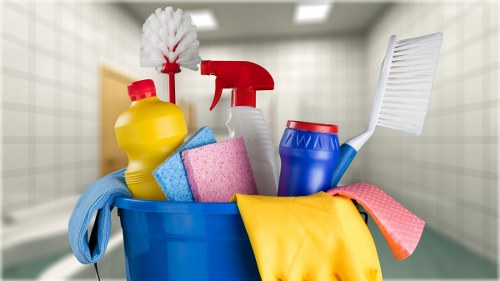 Professional stain removal in Paddington for carpets and upholstery