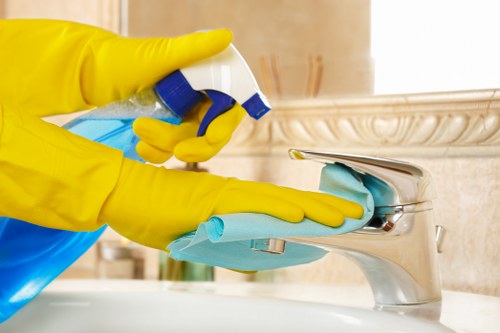 Professional carpet cleaner working on a carpeted floor