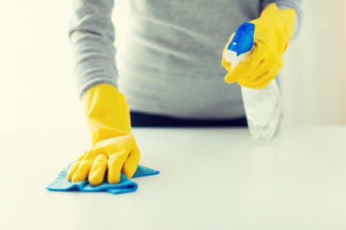 Deep upholstery cleaning for a sofa in Paddington home