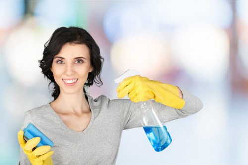 Professional carpet steam cleaning service in a Paddington office