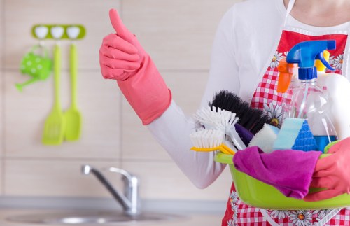 Eco-friendly carpet cleaning service in Paddington