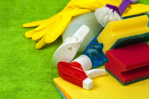 Clean carpets and furniture after stain removal in Paddington