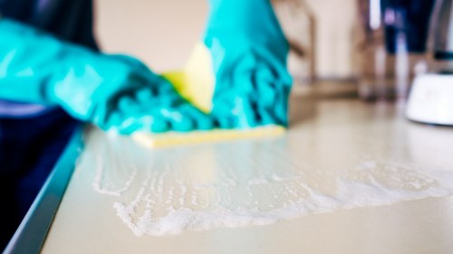 Close-up of carpet cleaning process in a Paddington home