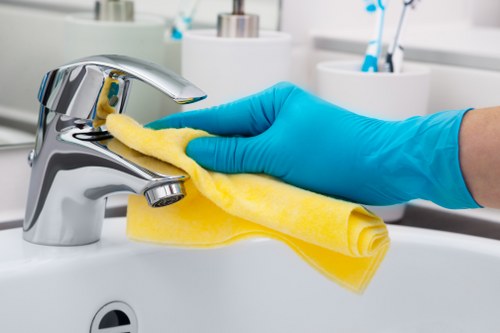 Professional mattress cleaning service for a cleaner sleep environment