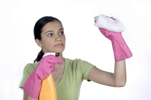 Professional deep cleaning of pet urine smell in a Paddington property