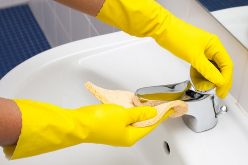 Upholstery and carpet stain cleaning methods in Paddington