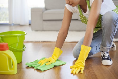 Pet stain odour removal process on carpet and flooring